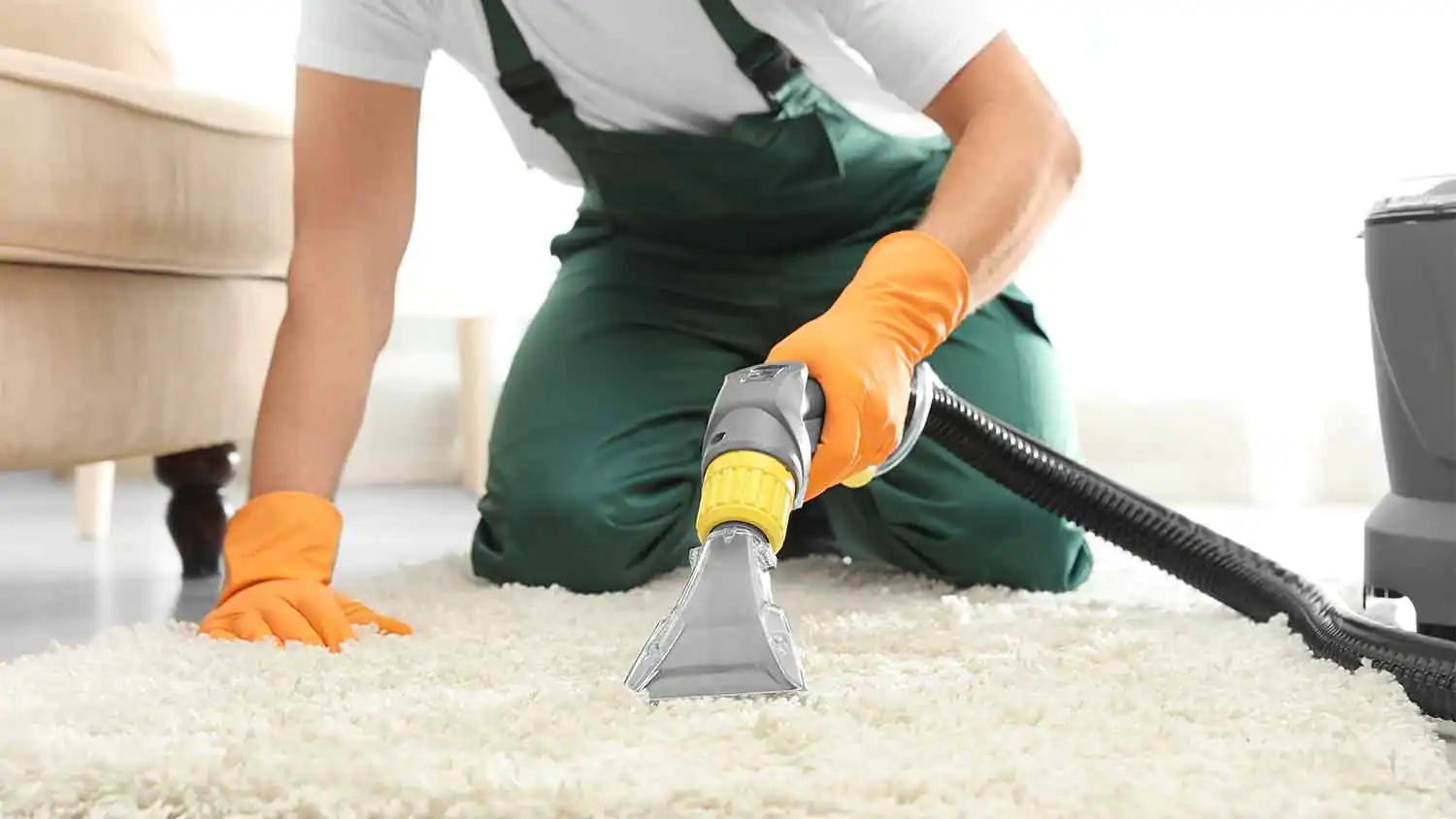 Can carpet cleaning remove dust mites?