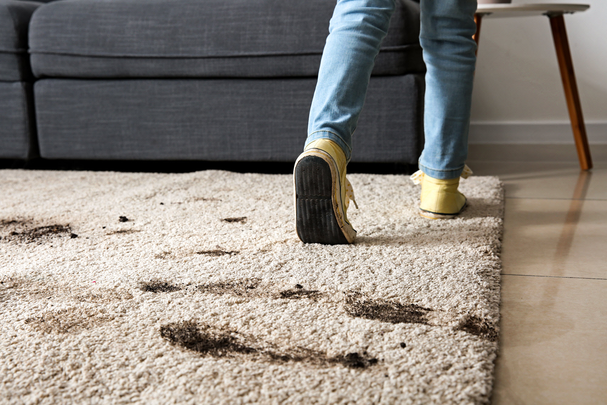 Can Carpet Cleaning Remove Dust Mites, Dust Mite Removal through Carpet Cleaning, Elimination of Dust Mites with Carpet Cleaning, Eradicating Dust Mites via Carpet Cleaning, Carpet Cleaning for Dust Mite Control, Dust Mite Extermination through Carpet Cleaning, Carpet Cleaning and Dust Mite Elimination, Carpet Cleaning